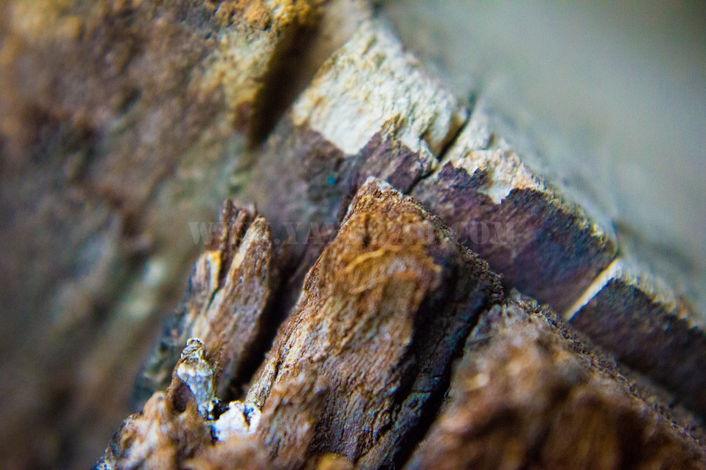 Chipped wood
